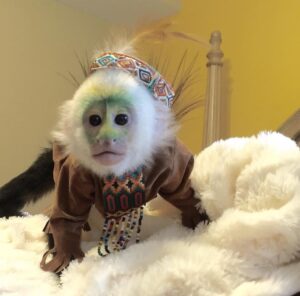 screenshot 20240515 065339