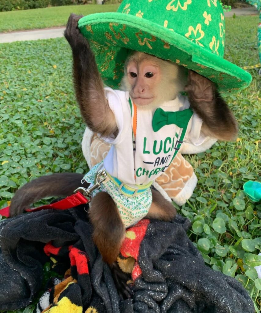 screenshot 20240515 065551 screenshot 20240515 065551