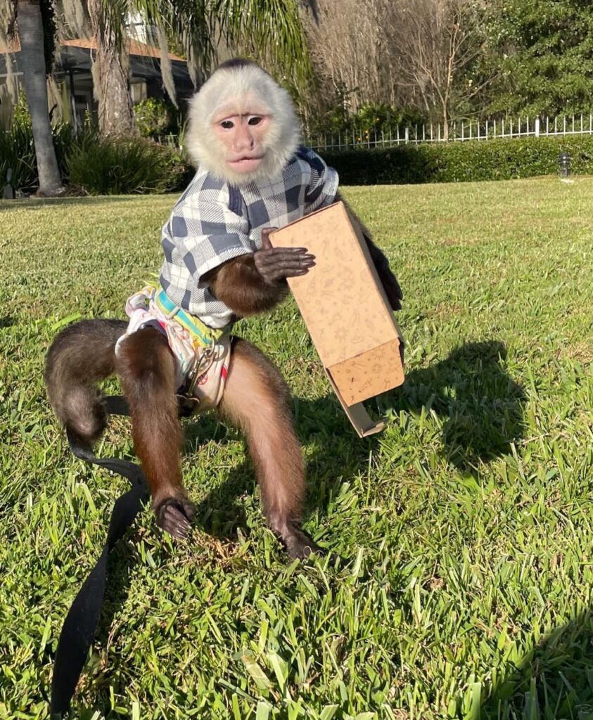 screenshot 20240515 065835 screenshot 20240515 065835