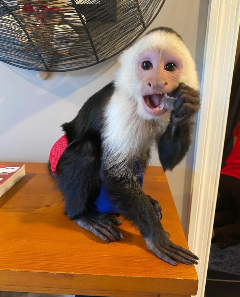 screenshot 20240515 071216