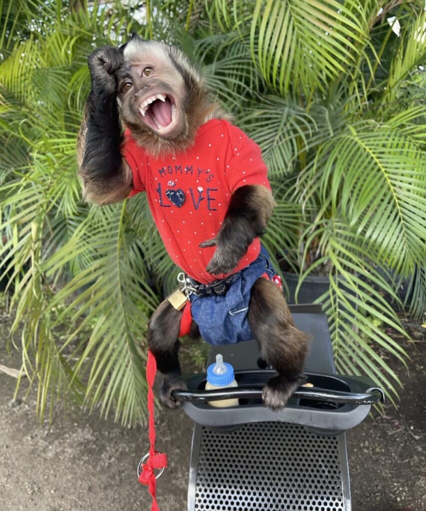 screenshot 20250622 111753